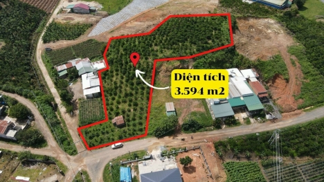 CẦN BÁN ĐẤT HUYỆN LÂM HÀ LÂM ĐỒNG