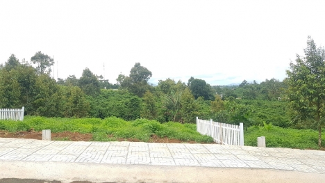 Đất thổ cư ngay cầu Đại Nga Bảo Lộc giá đầu tư chỉ 6 triệu / m2 . Sổ hồng sẵn bao công chứng .