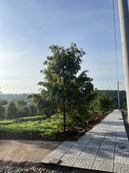 Đất thổ cư ngay cầu Đại Nga Bảo Lộc giá đầu tư chỉ 6 triệu / m2 . Sổ hồng sẵn bao công chứng .