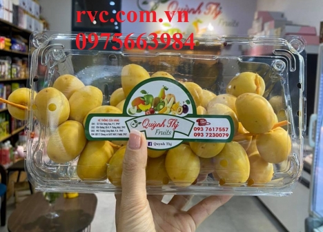 Hộp nhựa đựng trái cây 1kg P1000A giá tốt nhất thị trường Sài Gòn