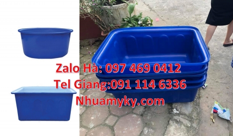thùng đựng hạt nhựa Thùng chữ nhật, Thùng nhựa 1700 lít, thùng nhựa chữ nhật 1250 lít, Thau