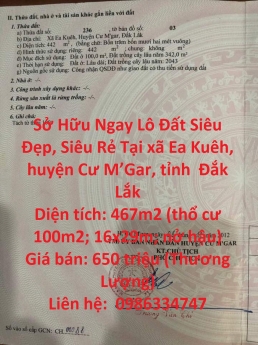 Sở Hữu Ngay Lô Đất Siêu Đẹp, Siêu Rẻ Tại  Cư M’Gar, Đắk Lắk