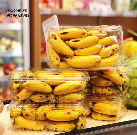 Hộp nhựa đựng trái cây 1kg P1000A giá tốt nhất thị trường Sài Gòn