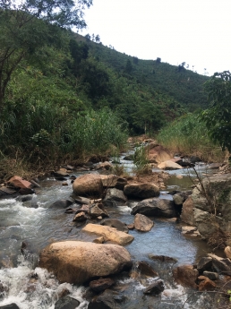 Bán 10ha đất ngang 290m QL1A, Hàm Tân, Bình Thuận