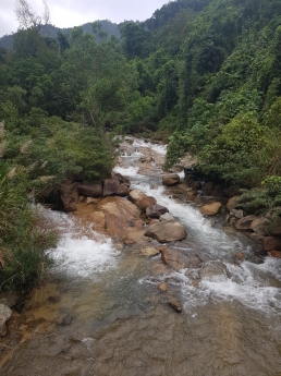 Bán 10ha đất ngang 290m QL1A, Hàm Tân, Bình Thuận