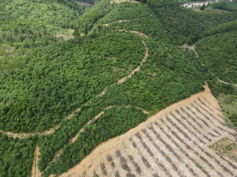 Bán quả đồi view 360* tại Hàn Tân, cách QL1A 1km