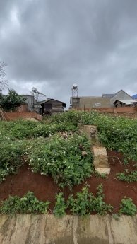 Bán đất (10x25) mặt tiền nhựa mới Bồng lai, Đức trọng