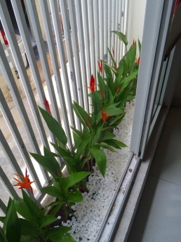 Bán nhà mê đúc lửng Huỳnh Ngọc Huệ còn mới tặng nội thất