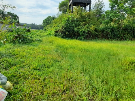 Chính chủ bán đất vườn Xã An Nhơn Tây, Củ Chi, Giá 2tỷ500, diện tích 2500m2
