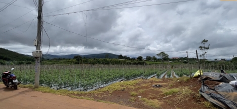 Bán đất(18x56) Cư xá, Liên hiệp, Đức trọng - Khu dân cư