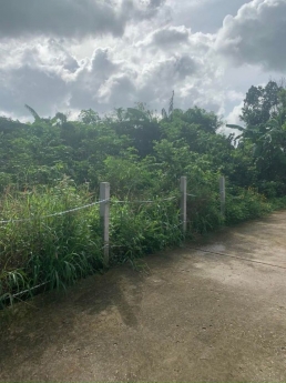 bán lô đất đường bê tông hòa long