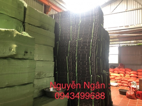 chuyên vỉ thoát nước giá thành rẻ