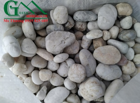 Sỏi Trang Trí Sân Vươn