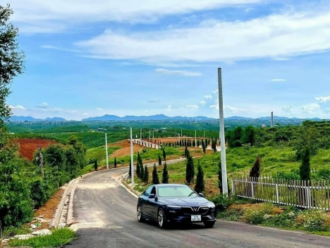 Đầu tư đất đón hạ tầng cao tốc Dầu Giây - Liên Khương chỉ với 800 triệu . Sổ hồng sẵn bao sang tên .