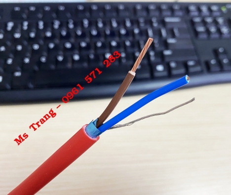 Cáp chống cháy 2x2.5 vỏ LSZH màu đỏ cam