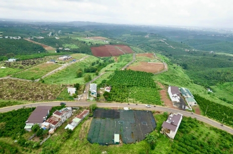 Đầu tư đất đón hạ tầng cao tốc Dầu Giây - Liên Khương chỉ với 800 triệu . Sổ hồng sẵn bao sang tên .