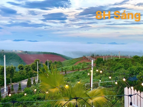 Đầu tư đất đón hạ tầng cao tốc Dầu Giây - Liên Khương chỉ với 800 triệu . Sổ hồng sẵn bao sang tên .