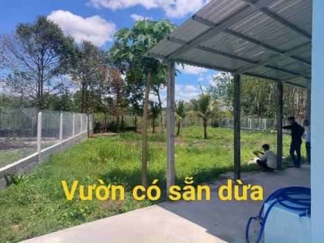 BÁN NHÀ MẶT TIỀN ĐƯỜNG ĐẤT 24*45 XÃ THÁI MỸ, CỦ CHI.