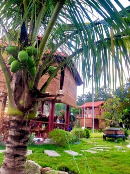 CHÍNH CHỦ - BÁN ĐẤT SÀO TẠI BÌNH DƯƠNG - ĐỒNG NAI - BÌNH PHƯỚC