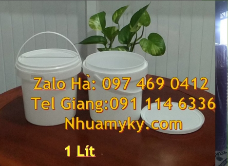 Vỏ thùng đựng sơn 19 lít, Vỏ thùng 20 lít quai nhựa, Xô nhựa 20 lít có nắp chiết rót,