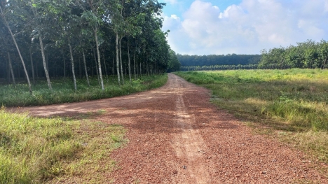 CHÁNH PHÚ HÒA 39