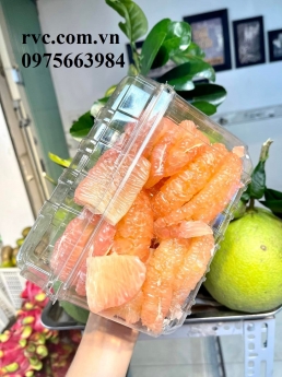 Tuyệt chiêu bảo quản trái cây cắt sẵn hiệu quả bằng hộp nhựa pet jadebox