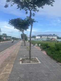 bán lô đất mặt tiền đường võ thị sáu p. long tâm tp bà rịa