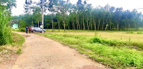 Đất ngay KCN Becamex Đồng Phú 6300ha, sát tuyến đường số 4, Sổ Sẵn, NH hỗ trợ