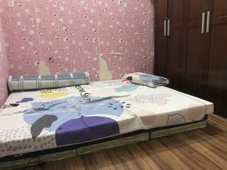 Bánh nhà mê lửng đúc Mai Lão Bạng thông Mai Am