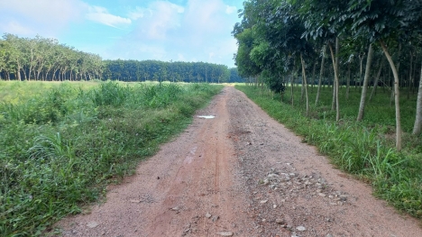 CHÁNH PHÚ HÒA 39