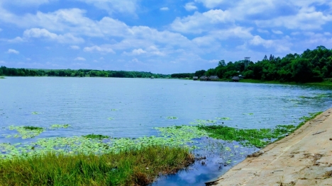 BÁN ĐẤT SÀO GIA KIỆM - THỐNG NHẤT - ĐỒNG NAI