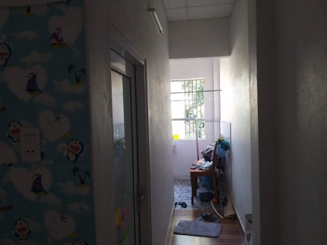 Bánh nhà mê lửng đúc Mai Lão Bạng thông Mai Am
