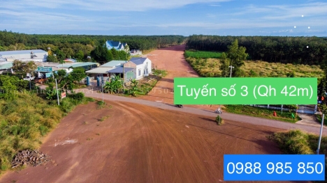 Đất ngay KCN Becamex Đồng Phú 6300ha, sát tuyến đường số 4, Sổ Sẵn, NH hỗ trợ