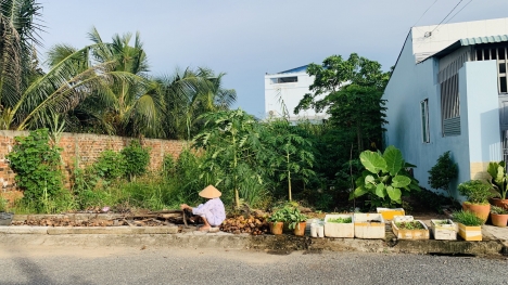 Bán 2 nền QL53 đi vào 70m giá tốt.