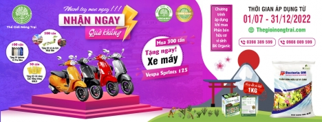 Phân Hữu Cơ Vi Sinh
