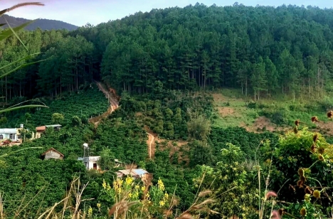 CẦN BÁN GẤP LÔ ĐẤT Ở TÀ NUNG ĐÀ LẠT GIÁ 5,5 TỶ