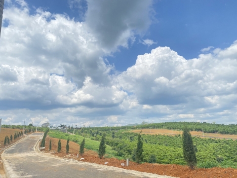 Đất nền nghỉ dưỡng giá đầu tư, DT 320m2 có thổ cư, xây dựng tự do tại Lộc Ngãi, Bảo Lâm .