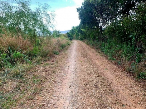 CẦN BÁN GẤP LÔ ĐẤT Ở TÀ NUNG ĐÀ LẠT GIÁ 5,5 TỶ