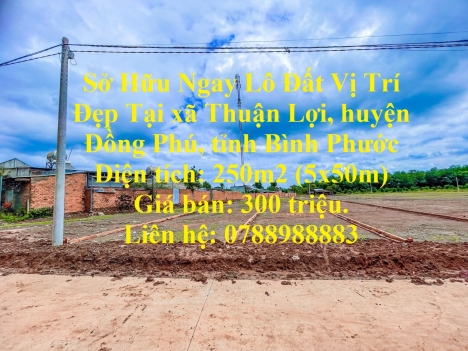 Sở Hữu Ngay Lô Đất Vị Trí Đẹp Tại Đồng Phú, Bình Phước