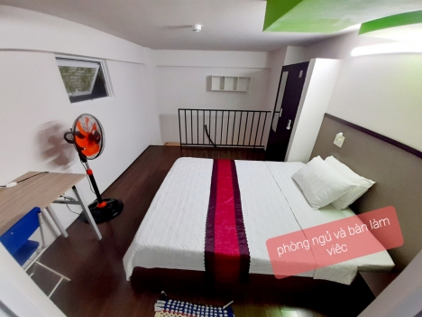 Bán Căn hộ mini Đường Bùi thị Xuân Nha Trang giá 11,5 tỉ 7 tầng có thang máy 18 phòng đang có khách