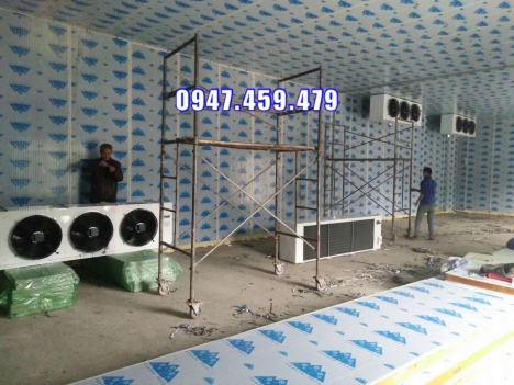 Lắp đặt kho lạnh bảo quản sữa tươi chất lượng, giá tốt