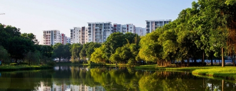 Hàng Chủ đầu tư Celadon không trung gian. Cọc 200tr ra tên sở hữu