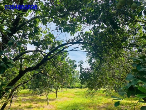 Bán 2066m2 đất Hương Thuỷ giá chỉ 1 tỷ xxx.