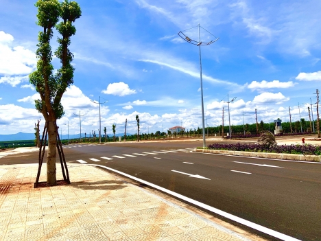 Dự Án TNR Đăk Đoa Có Những Gì Đặc Biệt ?