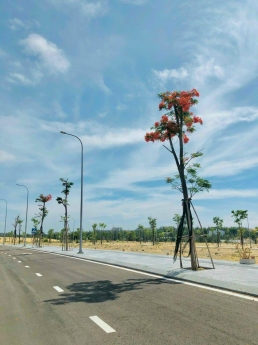 Nhận đặt cọc đất nền dự án Nhơn Hội New City