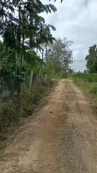 665m2 Đất CLN Krông Năng, Đăk Lăk quy hoạch full thổ