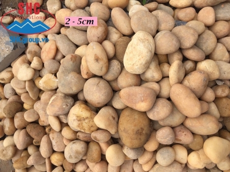 SỎI CUỘI SUỐI TRANG TRÍ NHIỀU MÀU