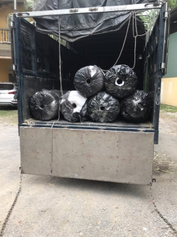 Vải Địa bán tại Hưng Yên
