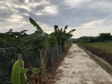 1421m2 TÂN TỨ, NINH THƯỢNG, KHÁNH HÒA chỉ 57 triệu mét ngang có thổ cư