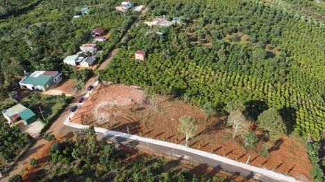 Chỉ 400 triệu sở hữu ngay lô đất thổ cư có sổ riêng tại Lộc Đức - Bảo Lâm . Ngay khu dân cư đông